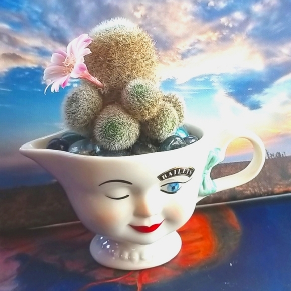 I ❤ OFFERS Thank You For Peeking In At My Closet ❤ - Picture 3 of 12